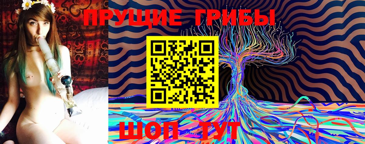 Галлюциногенные грибы Psilocybe  Вход с VPN  наркота  Клинцы 