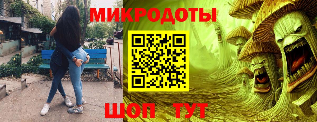 Галлюциногенные грибы Psilocybe Клинцы